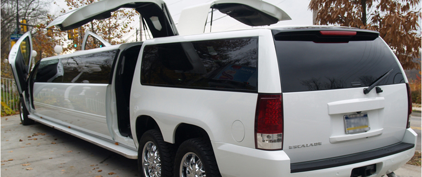 Cadillac Escalade S-2a Back side