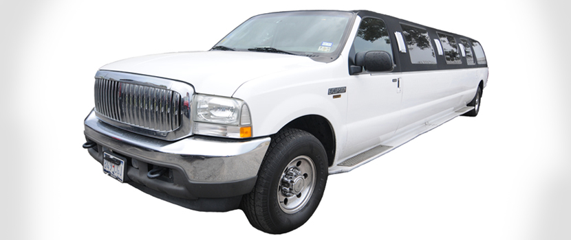 16 Pax Excursion Limo