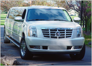 18-20 Pax Escalade SUV Limo